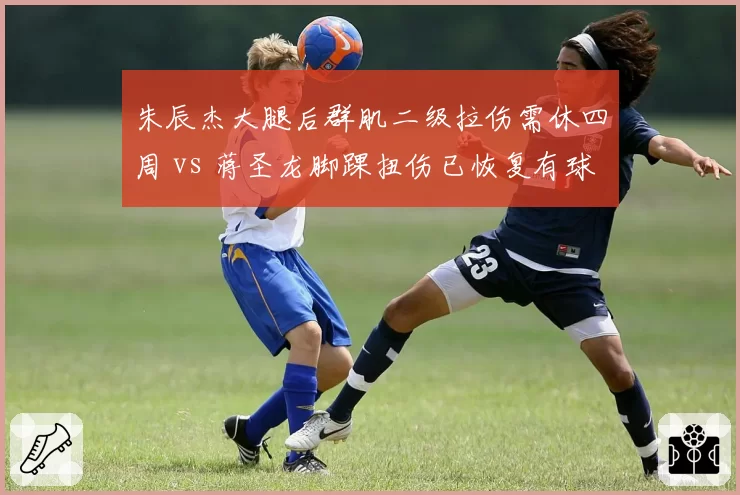 朱辰杰大腿后群肌二级拉伤需休四周 vs 蒋圣龙脚踝扭伤已恢复有球训练，申花中卫线伤病潮考验斯卢茨基排兵