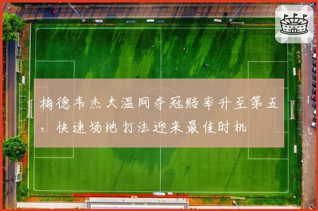 梅德韦杰夫温网夺冠赔率升至第五,快速场地打法迎来最佳时机