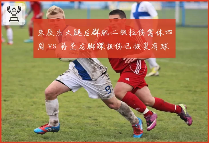 朱辰杰大腿后群肌二级拉伤需休四周 vs 蒋圣龙脚踝扭伤已恢复有球训练，申花中卫线伤病潮考验斯卢茨基排兵