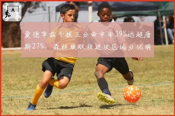 爱德华兹干拔三分命中率39%远超唐斯27%,森林狼双核进攻区域分化明显